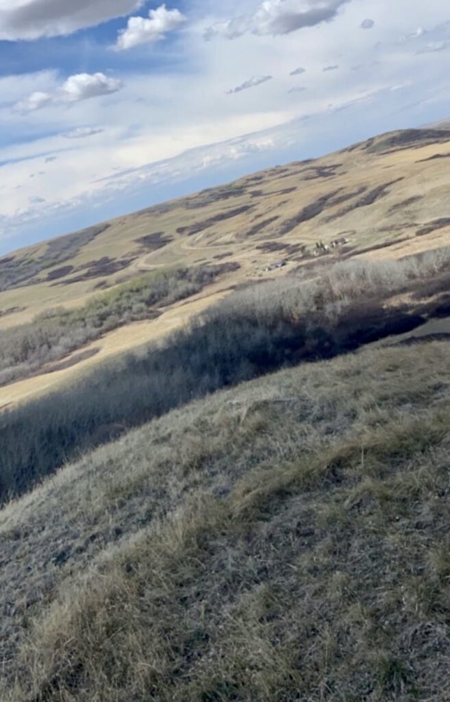 Picture of the grasslands on Wood Mountain Lakota First Nation. Photo credits Christina Gervais