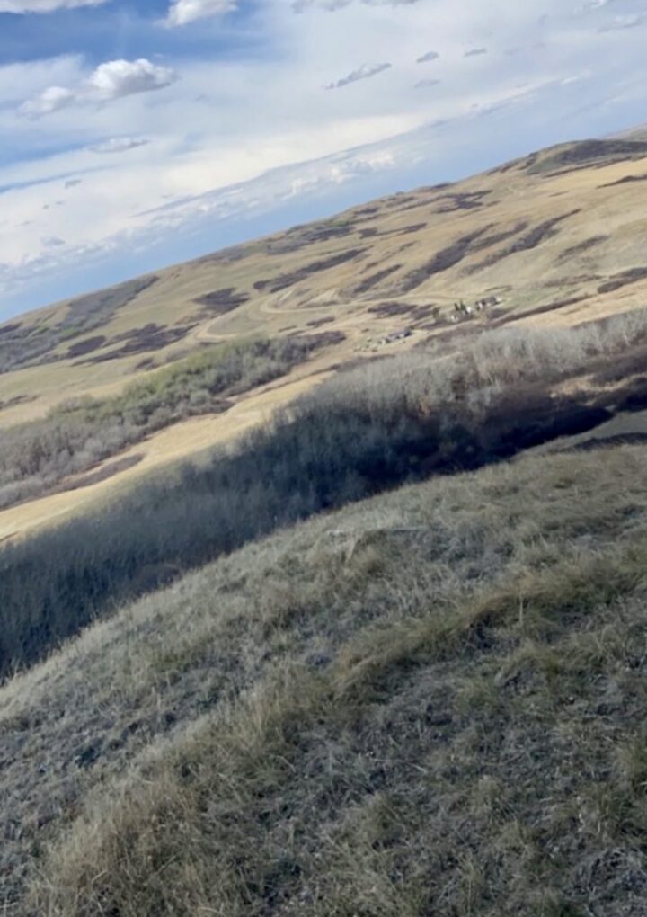 What will we do when there are no grasslands left?
