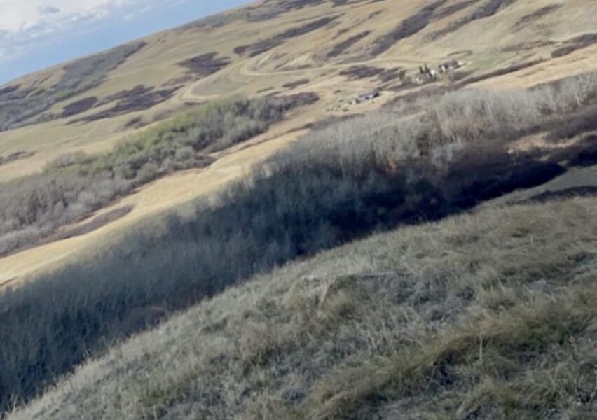Picture of the grasslands on Wood Mountain Lakota First Nation. Photo credits Christina Gervais
